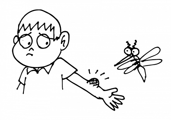 Consejos contra las picaduras de mosquitos