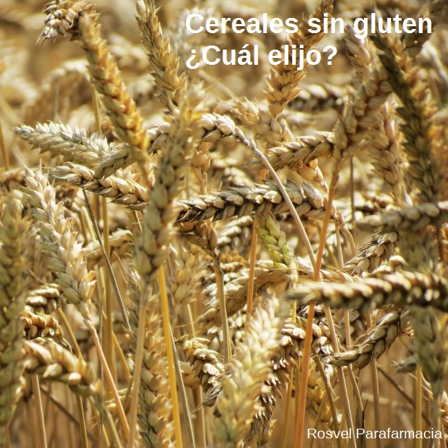 cereales-sin-gluten
