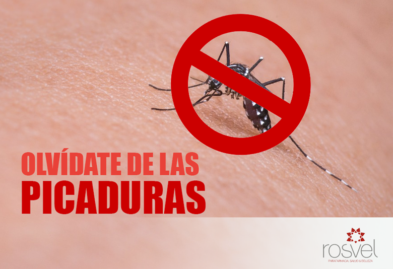picadura-mosquito